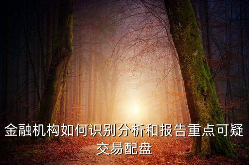金融機(jī)構(gòu)如何識(shí)別分析和報(bào)告重點(diǎn)可疑交易配盤(pán)
