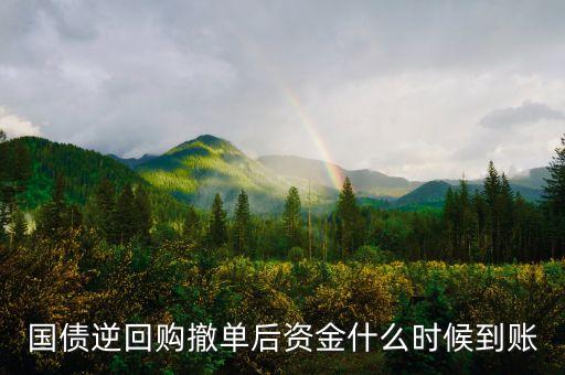 國(guó)債逆回購(gòu)撤單后資金什么時(shí)候到賬