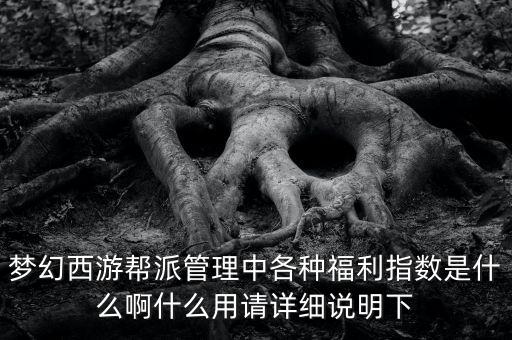 夢幻西游幫派管理中各種福利指數(shù)是什么啊什么用請?jiān)敿?xì)說明下
