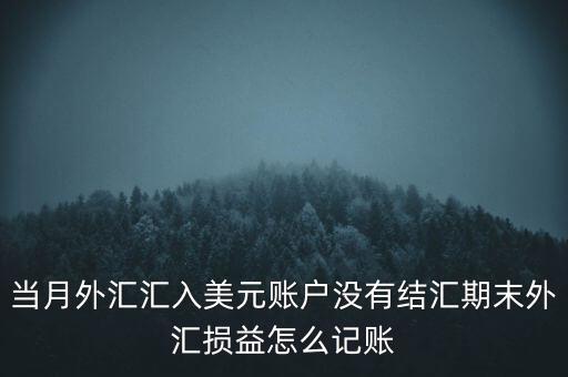 當(dāng)月外匯匯入美元賬戶沒有結(jié)匯期末外匯損益怎么記賬