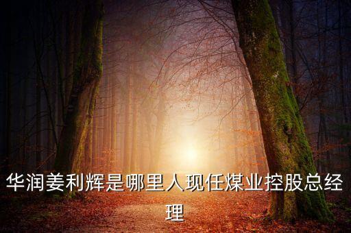 中煤西沙河煤礦礦長叫什么，華潤姜利輝是哪里人現(xiàn)任煤業(yè)控股總經(jīng)理