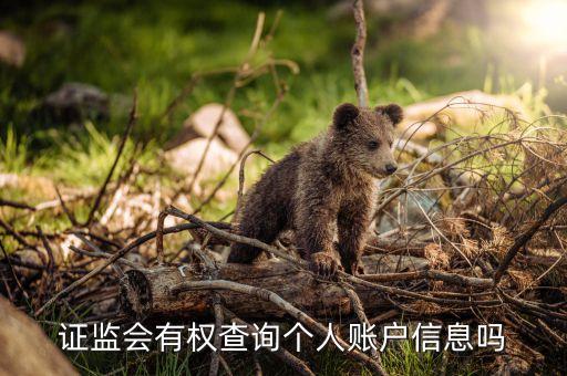 證監(jiān)會(huì)有權(quán)查詢(xún)個(gè)人賬戶(hù)信息嗎