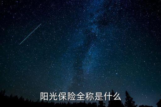 陽光保險全稱是什么