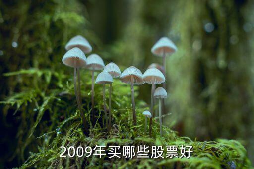 中山公用什么時(shí)候分紅，佛山農(nóng)村戶口教師轉(zhuǎn)中山非農(nóng)戶口好不好