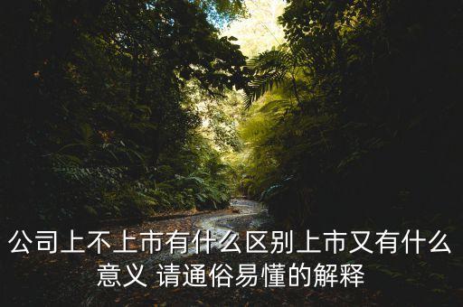 公司上不上市有什么區(qū)別上市又有什么意義 請通俗易懂的解釋