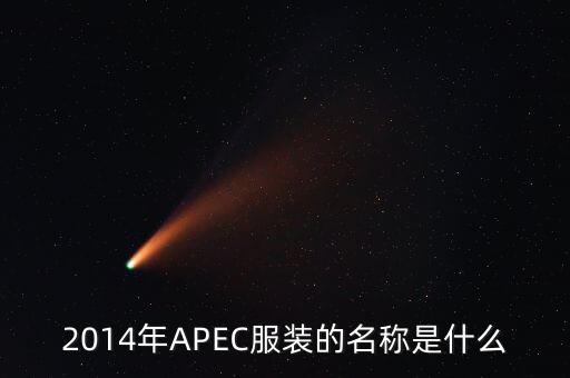 apec穿什么，apec會(huì)議在中國開過幾次當(dāng)時(shí)的首腦會(huì)議穿的是什么服裝