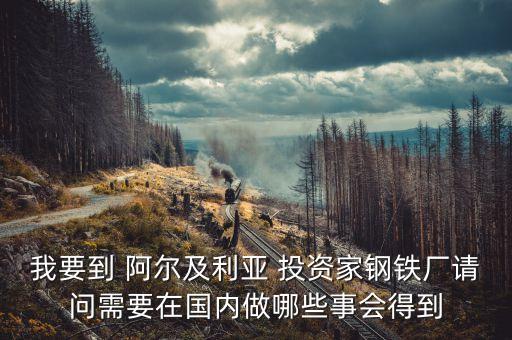 阿爾及爾投資什么好，本人打算去非洲做生意 都需要準(zhǔn)備些什么