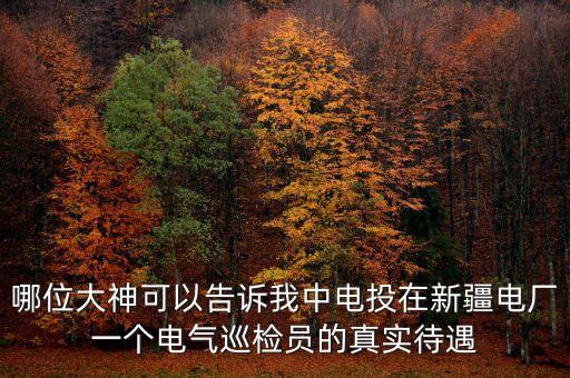 中電投為什么待遇差，中電投江西景德鎮(zhèn)發(fā)電廠怎樣