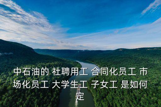 中石油的 社聘用工 合同化員工 市場(chǎng)化員工 大學(xué)生工 子女工 是如何定