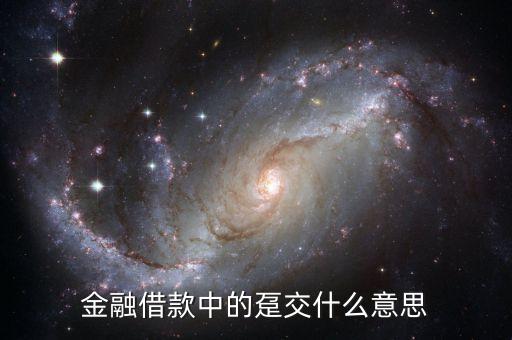 金融借款中的躉交什么意思