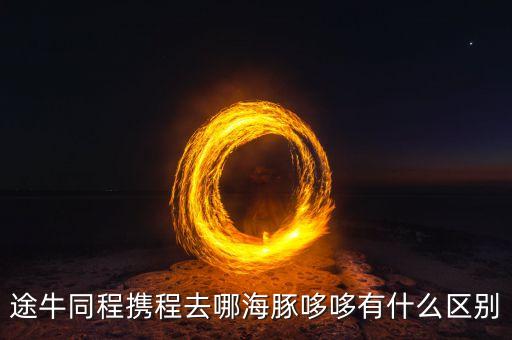途牛同程攜程去哪海豚哆哆有什么區(qū)別