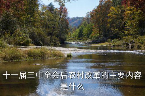 中國農(nóng)村改革到2020年是什么樣的，十一屆中全會后農(nóng)村改革的主要內(nèi)容是什么