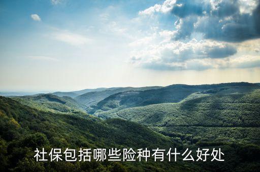 五大險(xiǎn)種有什么好處，5險(xiǎn)都保什么 有什么好處