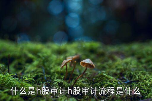 H股審計(jì)是什么意思，香港上市公司的審計(jì)與內(nèi)地審計(jì)有什么區(qū)別