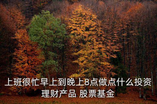 上班很忙早上到晚上8點做點什么投資理財產(chǎn)品 股票基金