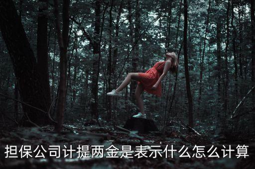 什么是差額提取，請問資產(chǎn)負債表日其公允價值高于賬面余額的差額指的是什么