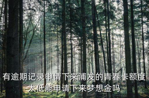 為什么青春卡夢想金要等一個月，浦發(fā)信用卡青春卡的夢想金是開卡就可以申請的還是等一個月