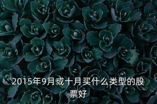 2015年9月或十月買什么類型的股票好