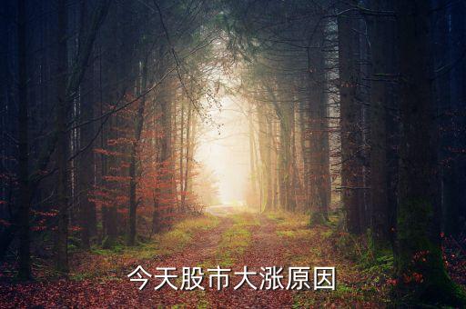 今天股票為什么大漲，今天的股市為什么猛漲啊