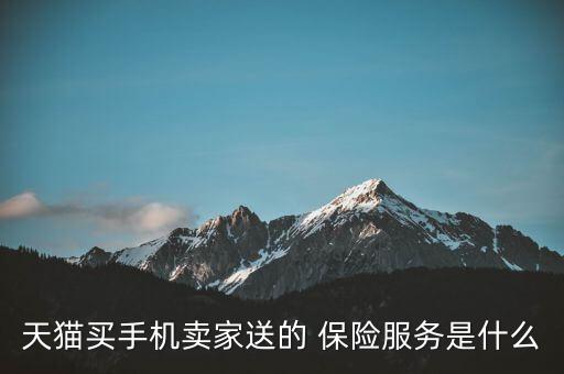 天貓保險(xiǎn)服務(wù)是什么，淘寶里購(gòu)物那個(gè)保險(xiǎn)服務(wù)是什么