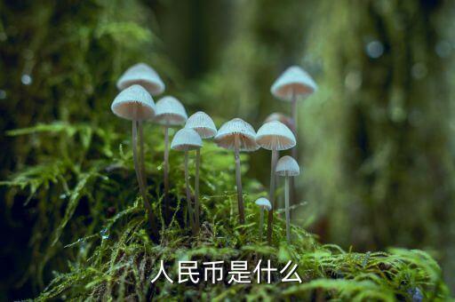 人民幣是什么