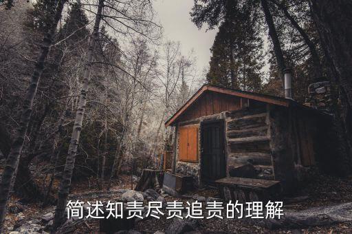 什么是追責(zé)，簡述知責(zé)盡責(zé)追責(zé)的理解