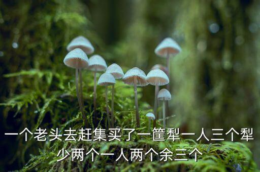 一個老頭去趕集買了一筐犁一人三個犁少兩個一人兩個余三個