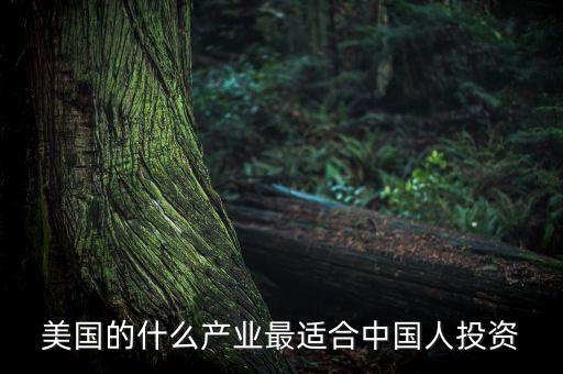 美國的什么產(chǎn)業(yè)最適合中國人投資