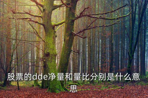 股市的dde凈量是什么意思，股票的dde凈量和量比分別是什么意思