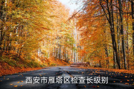 西安市正局級是什么級別，碑林分局局長級別是什么級別