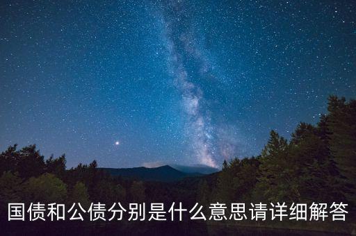國債和公債分別是什么意思請詳細(xì)解答