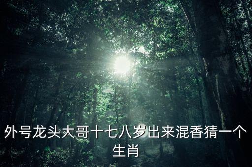 外號(hào)龍頭大哥十七八歲出來(lái)混香猜一個(gè)生肖