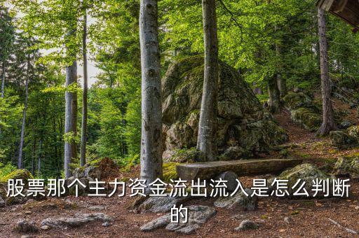 股票主力資金看什么線，股市場內(nèi)資金怎么看看什么指數(shù)