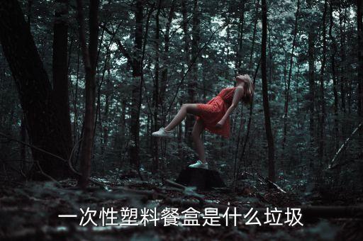 一次性塑料餐盒是什么垃圾