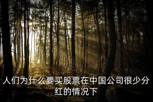 人們?yōu)槭裁匆I(mǎi)股票在中國(guó)公司很少分紅的情況下