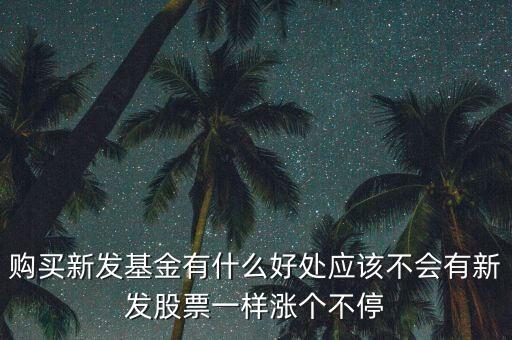 購(gòu)買新發(fā)基金有什么好處應(yīng)該不會(huì)有新發(fā)股票一樣漲個(gè)不停