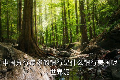 中國分行最多的銀行是什么銀行美國呢世界呢