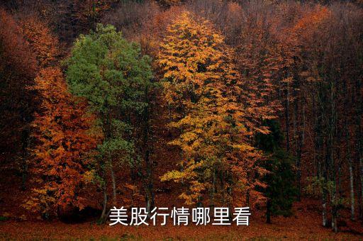 美股行情哪里看