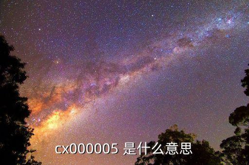 000005是什么概念，cx000005 是什么意思