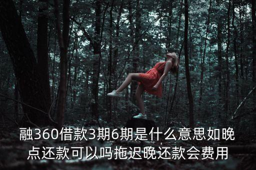 融360借款3期6期是什么意思如晚點還款可以嗎拖遲晚還款會費用