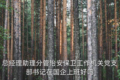 國企書記干什么的，總經(jīng)理助理分管治安保衛(wèi)工作機(jī)關(guān)黨支部書記在國企上班好嗎