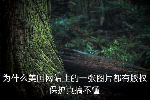 為什么國(guó)外重視版權(quán)，為什么美國(guó)網(wǎng)站上的一張圖片都有版權(quán)保護(hù)真搞不懂