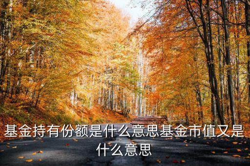 基金持有份額是什么意思基金市值又是什么意思
