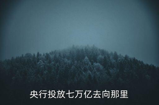 央行投放七萬億去向那里