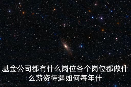 基金后臺(tái)崗位有什么，基金機(jī)構(gòu)銷(xiāo)售后臺(tái)運(yùn)營(yíng)崗是做什么的
