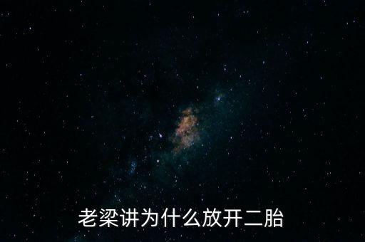 老梁講為什么放開二胎