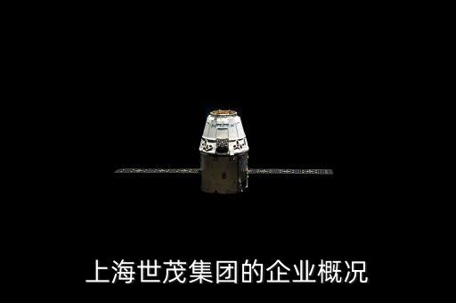 上海世茂股份有限公司屬于什么性質(zhì)的公司，世茂股份有限公司是什么性質(zhì)的公司這家公司的福利待遇怎么樣