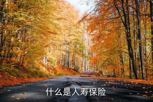 什么叫新型人壽保險(xiǎn)，什么是人壽保險(xiǎn)