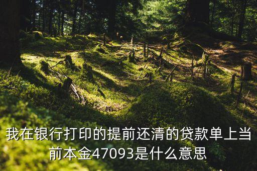 我在銀行打印的提前還清的貸款單上當前本金47093是什么意思