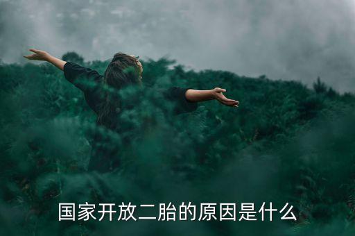 國(guó)家開放二胎的原因是什么